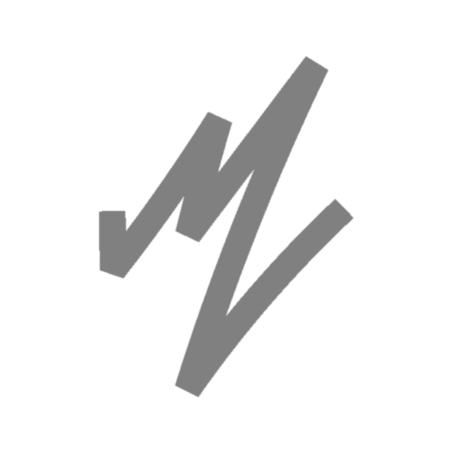 Медиа партизаны